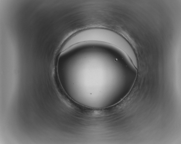 X0000111880060200908061322