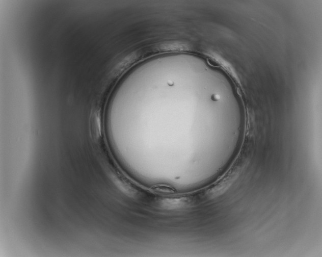 X0000111880061200908061322