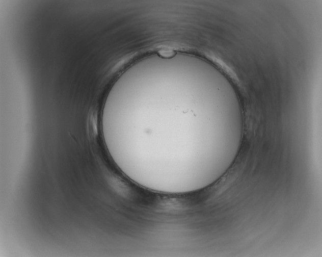 X0000111880062200908061322