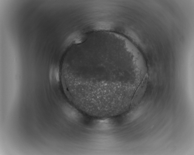 X0000111880068200908061322