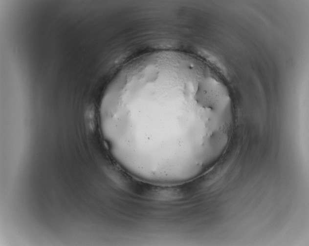 X0000111880069200908061322