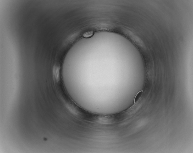 X0000111880070200908061322