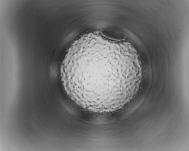 X0000111880072200908061322