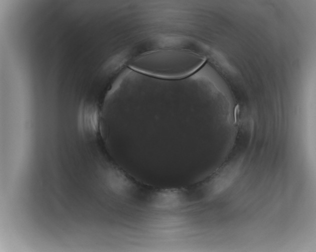 X0000111880076200908061322