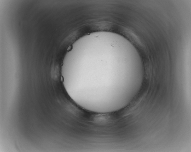 X0000111880077200908061322