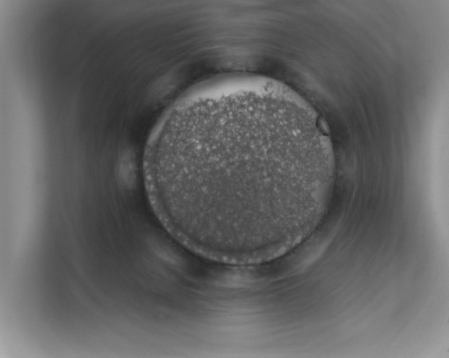 X0000111880080200908061322