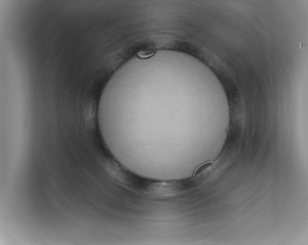 X0000111880082200908061322