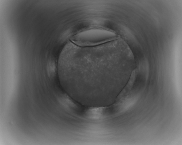 X0000111880084200908061322