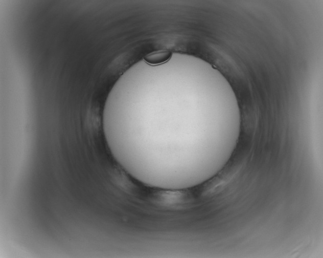 X0000111880085200908061322