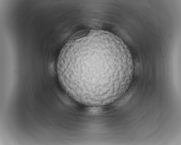 X0000111880088200908061322