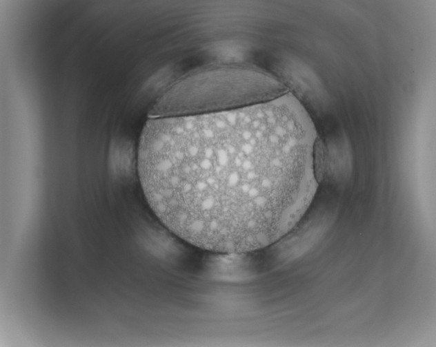 X0000111880092200908061322