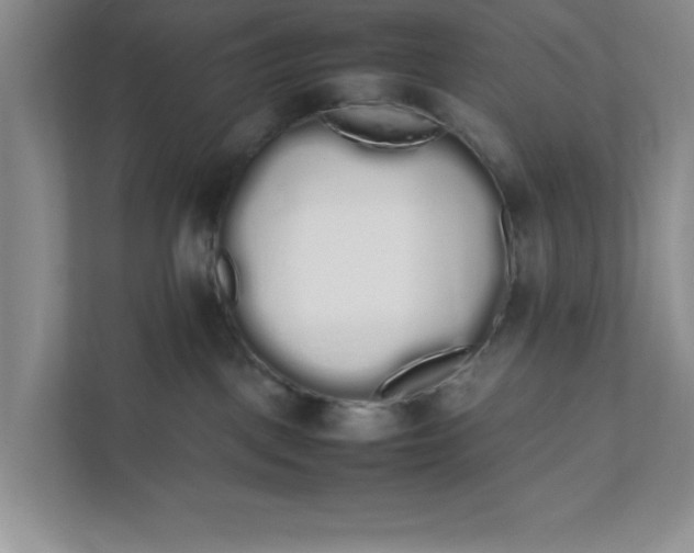 X0000111880093200908061322