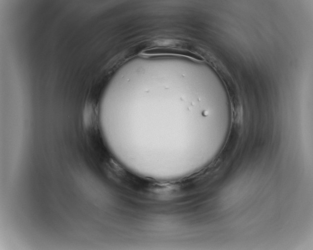 X0000111880095200908061322