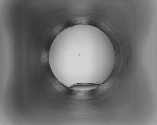 X0000111880096200908061322