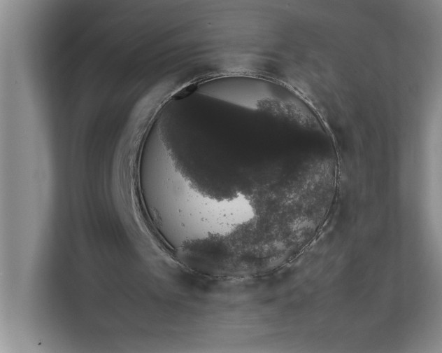 X0000111880097200908061322