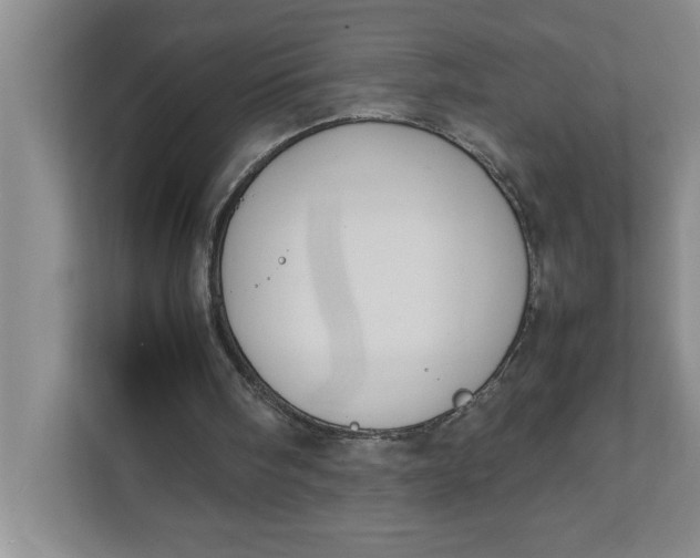 X0000111880098200908061322