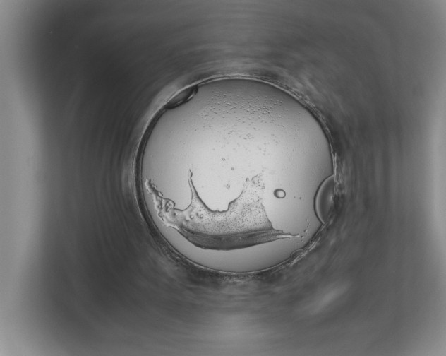 X0000111880099200908061322