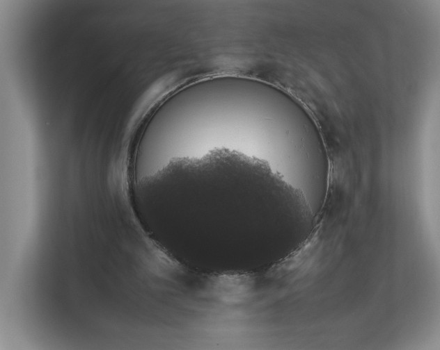 X0000111880101200908061322