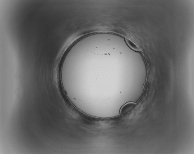 X0000111880103200908061322