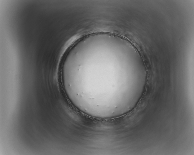 X0000111880104200908061322