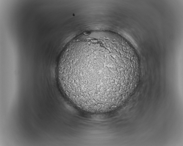 X0000111880105200908061322