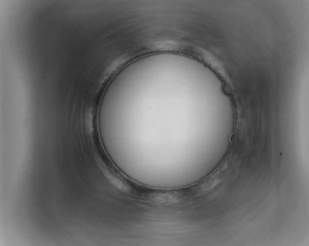 X0000111880106200908061322