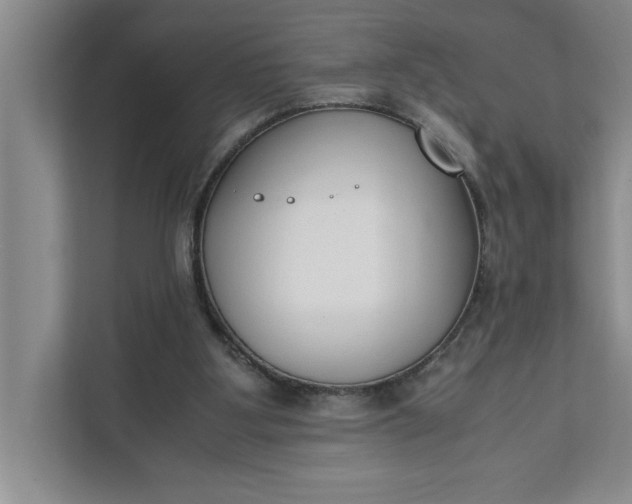 X0000111880107200908061322