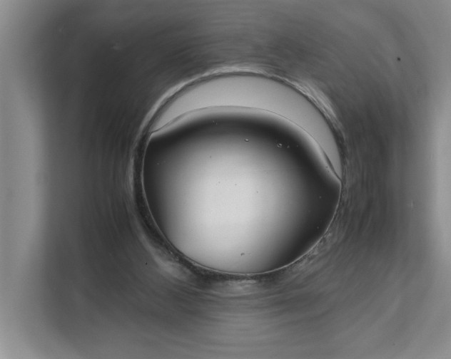 X0000111880108200908061322