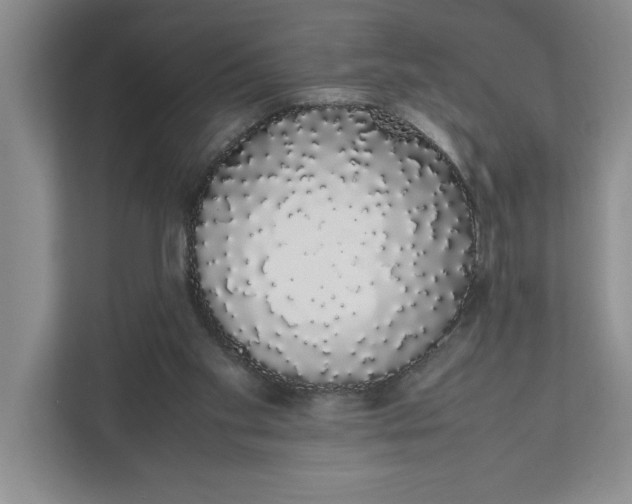 X0000111880109200908061322