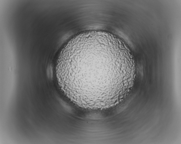 X0000111880110200908061322