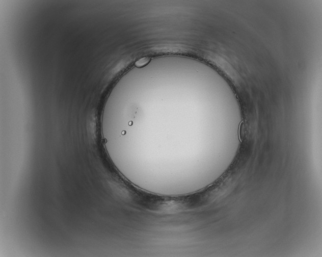 X0000111880111200908061322