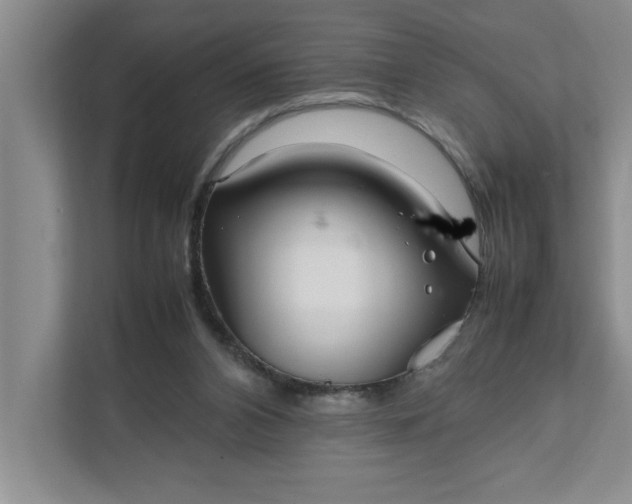 X0000111880112200908061322