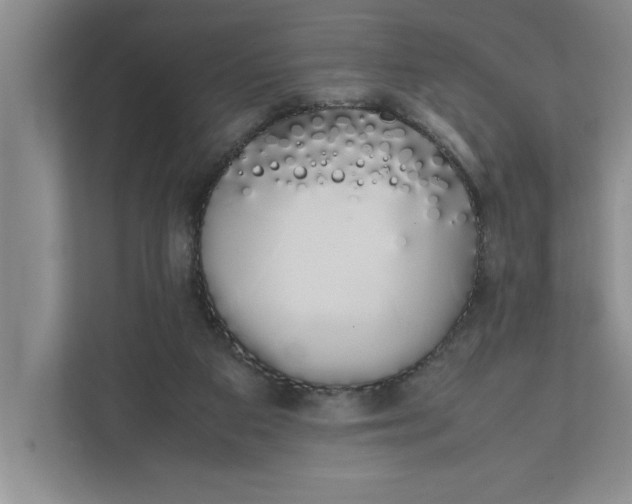 X0000111880113200908061322