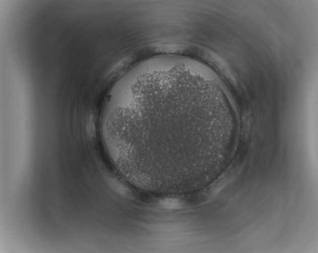 X0000111880114200908061322