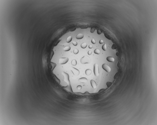 X0000111880116200908061322