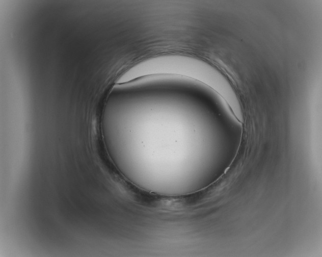 X0000111880117200908061322