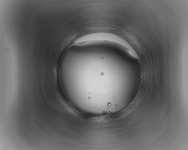 X0000111880120200908061322