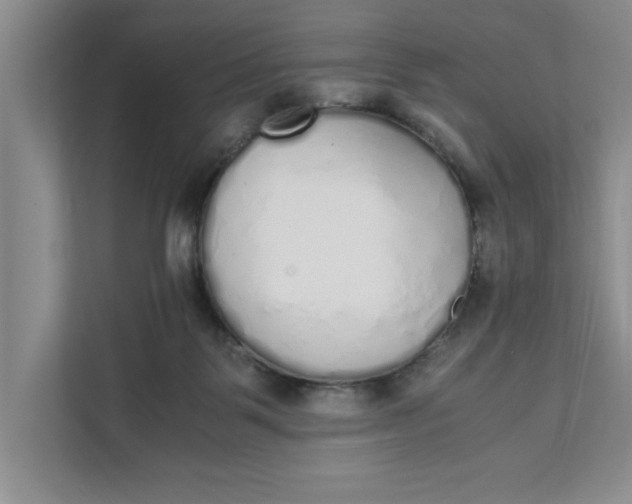 X0000111880123200908061321