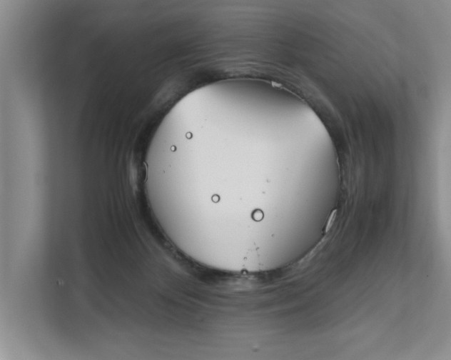 X0000111880124200908061321