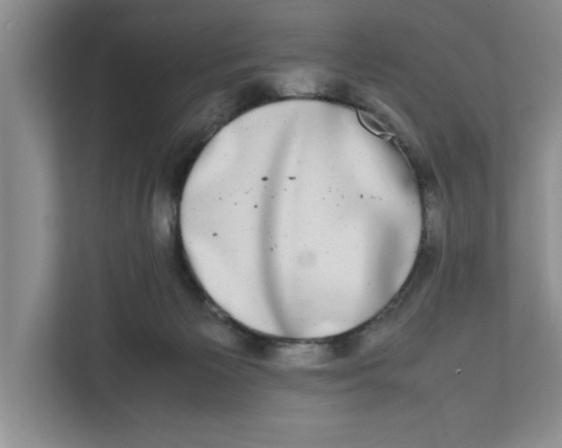 X0000111880125200908061321