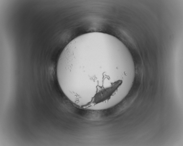 X0000111880127200908061321