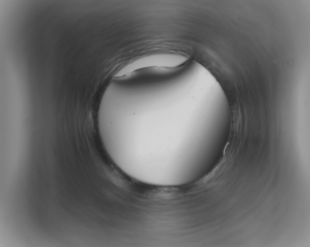 X0000111880128200908061321