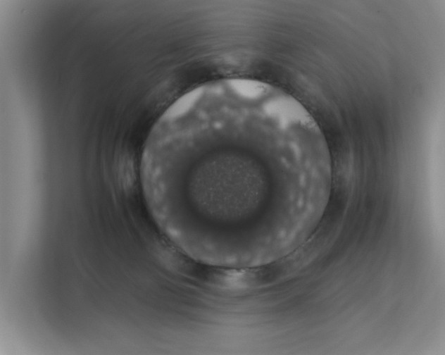 X0000111880130200908061321