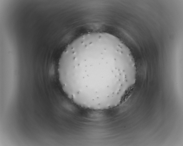 X0000111880132200908061321