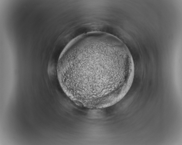 X0000111880137200908061321