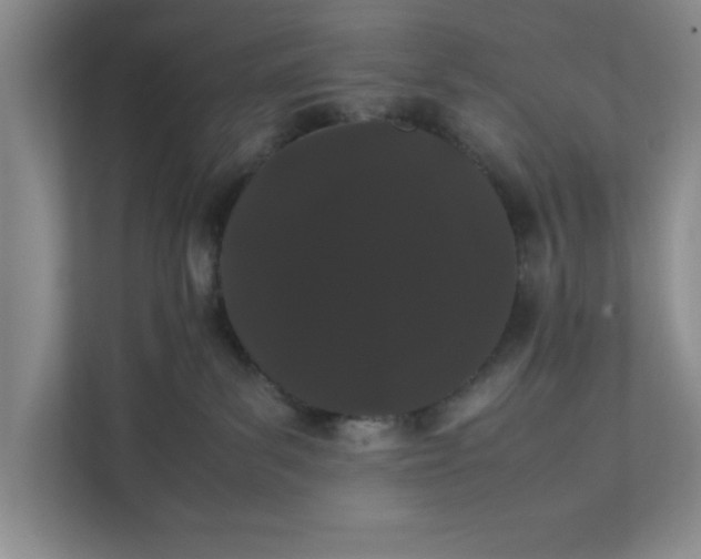 X0000111880139200908061321