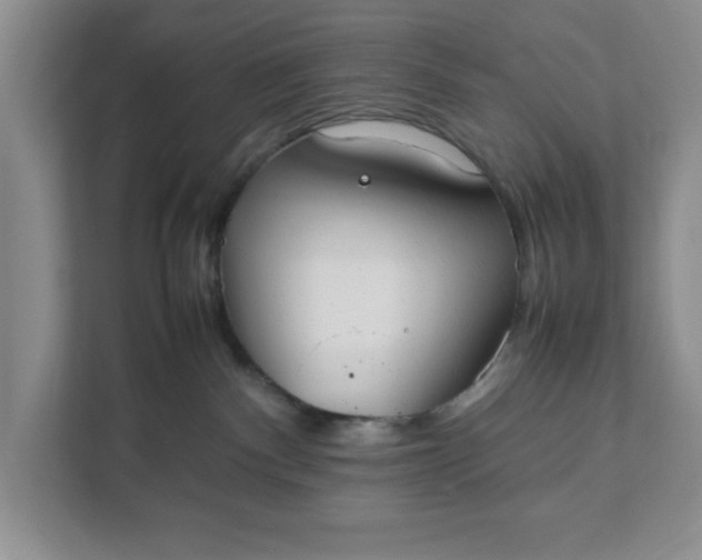 X0000111880140200908061321