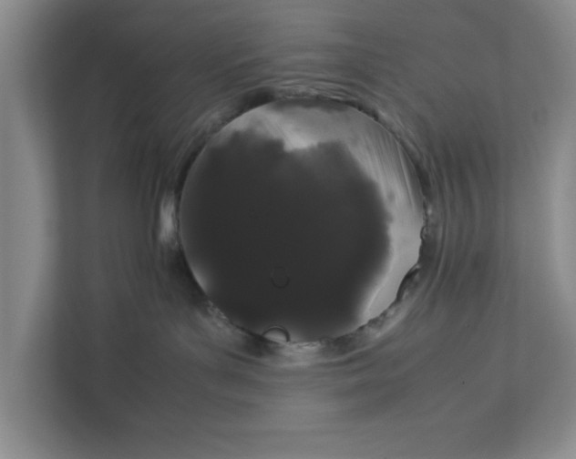 X0000111880143200908061321