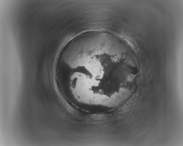 X0000111880145200908061321