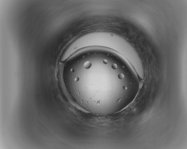 X0000111880146200908061321